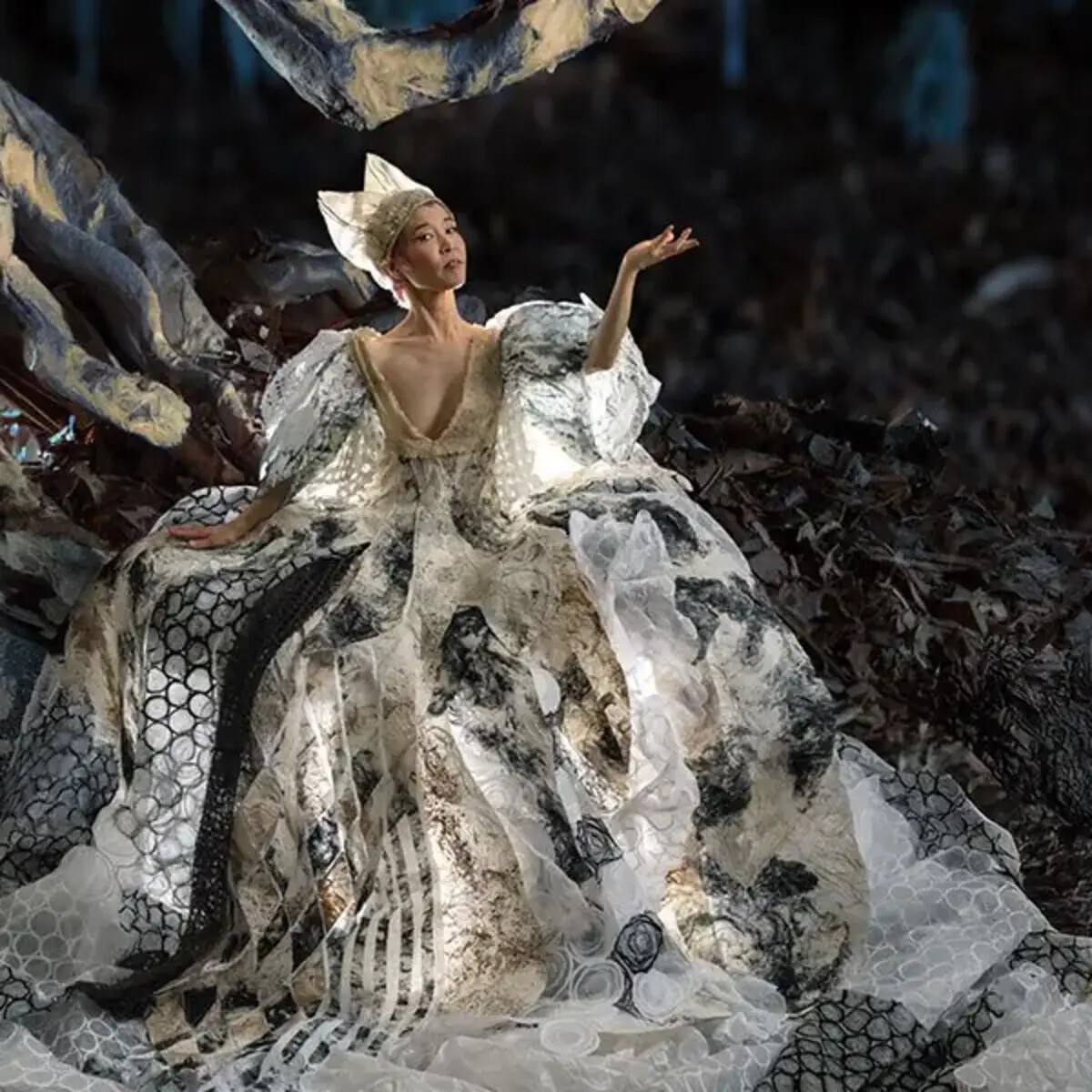 Degenerate Art Ensemble: Anima Mundi